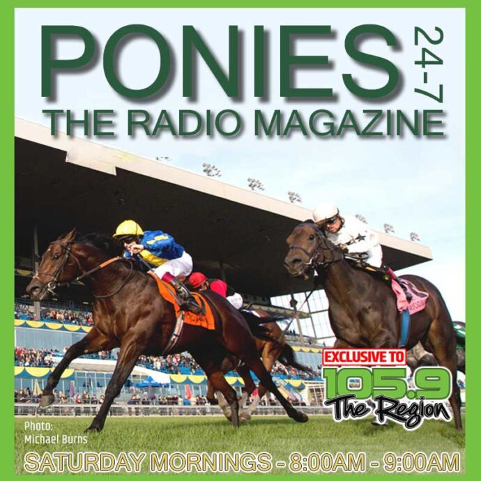 Ponies 24-7 Banner